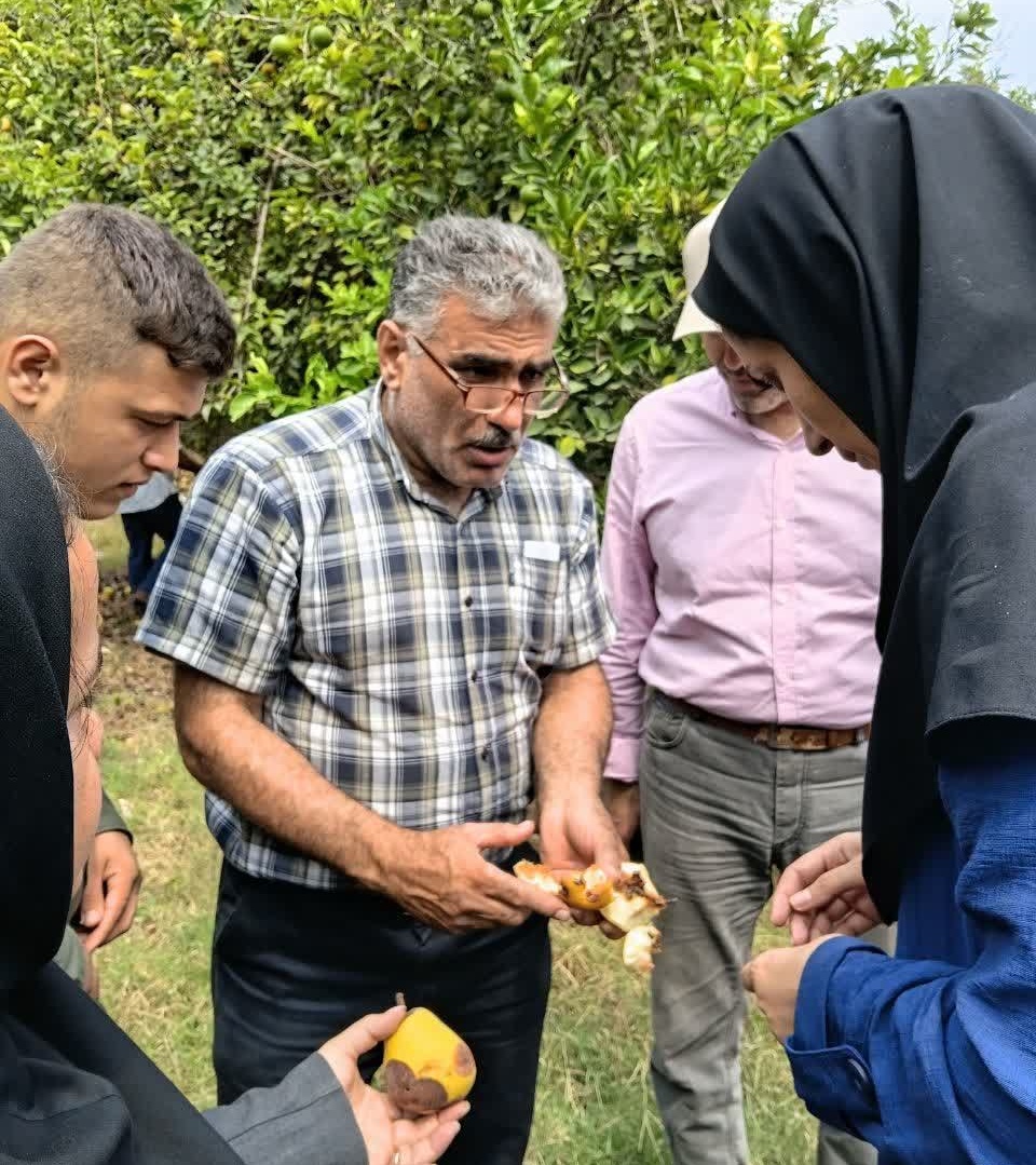 کاروان ترویجی "مدیریت مگس میوه مدیترانه‌ای"