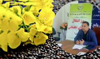 کشف راهکارهای نوین کنترل بیماری‌های کلزا در روز انتقال یافته های تحقیقاتی کلزا