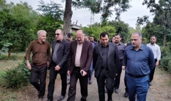 بازدید دکتر محمودی معاون حقوقی و امور مجلس معاونت علمی و فناوری و اقتصاد دانش بنیان نهاد ریاست جمهوری از ظرفیت های ایستگاه تحقیقات باغبانی قائمشهر