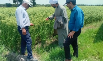 حضور حجت‌الاسلام دکتر امیری، مسئول دفتر نماینده ولی فقیه مرکز در ایستگاه تحقیقات زراعی و باغی دشت ناز