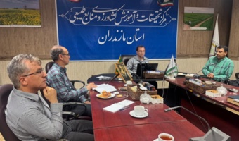 برنامه ریزی برای مقابله با زوال مرکبات در باغ های مازندران