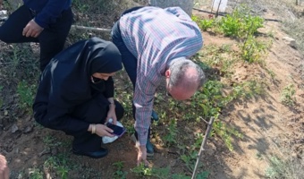 بازدید میدانی از باغات گردو کلاردشت برای بررسی علائم خشکیدگی