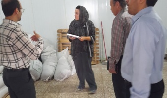 مزارع برنج ارگانیک ایستگاه تحقیقات کشاورزی بایع‌کلا، مهر تایید بازرسان شرکت بیوسان‌گواه را گرفت