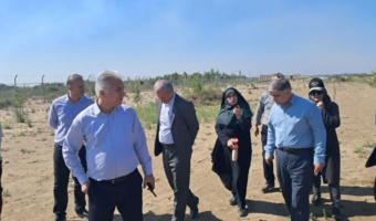 هم‌افزایی علم و صنعت برای سبز کردن خط ساحلی؛ ارزیابی فنی تجارب نهالکاری شرکت سیمان مازندران