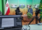 مدیریت کنترل آفات مهم برنج
