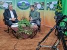 مدیرت آفات در مرحله رویشی پنبه