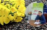 کشف راهکارهای نوین کنترل بیماری‌های کلزا در روز انتقال یافته های تحقیقاتی کلزا