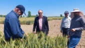 بازدید میدانی رییس مرکز از ایستگاه تحقیقات کشاورزی بایع‌کلا؛ تأکید بر توسعه بذرهای امیدبخش و تقویت آموزش‌های ترویجی
