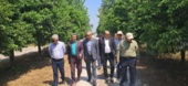 ارزیابی میدانی طرح‌های پژوهشی گیاه‌پزشکی در ایستگاه تحقیقات زراعی قراخیل