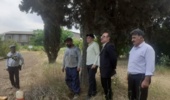 پایشِ ضربتیِ پروژههای تحقیقاتی؛ گامی برای تضمین سلامت باغات انار و مرکبات