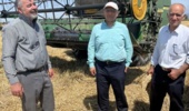 از مزرعه تحقیق تا کیسههای بذر؛ آغاز برداشت طبقات بذری گندم و جو در ایستگاه تحقیقات کشاورزی بایعکلا
