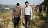پایش تخصصی مرکز تحقیقات کشاورزی مازندران بر روند احیای پوشش گیاهی معادن سیمان نکا