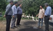 بازدید هیئت متخصصان طیور مرکز از واحد پرورش طیور شهرستان میاندرود