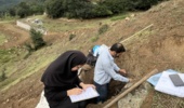 تعیین تکلیف ۶ عرصه کشاورزی در مازندران؛ پایان موفقیت‌آمیز پایش میدانی در مردادماه ۱۴۰۵