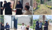 با حضور نماینده مرکز تحقیقات و آموزش کشاورزی مازندران؛ ظرفیت‌های تولیدی و کشاورزی رامسر در مسیر انتخاب کشاورز نمونه کشوری ارزیابی شد
