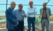 گامهای استراتژیک در مسیر توسعه؛ زیرساختهای پژوهشی جنگل، مرتع و باغبانی زیر ذره بین مدیران
