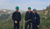 پایش علمی روند رشد نهال‌های کشت‌شده در پله‌های معدنی کارخانه سیمان نکا توسط محققان مرکز تحقیقات کشاورزی مازندران