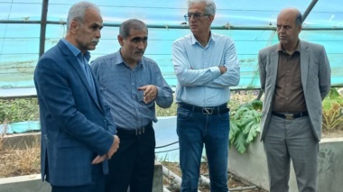 گام‌های استراتژیک در مسیر توسعه؛ زیرساخت‌های پژوهشی جنگل، مرتع و باغبانی زیر ذره بین مدیران