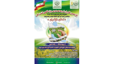 کشت پاییزه به روایت علم؛ از «خرم‌چماز» تا مزارع مازندران؛ نقشه راه محققان مرکز تحقیقات برای تحول در کشت پاییزه تبیین شد