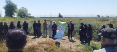 حضور رییس مرکز و مدیران ترویج شهرستان‌ها در ایستگاه بایع‌کلا؛ کلزا چگونه «به عملکرد مطمئن» می‌رسد؟
