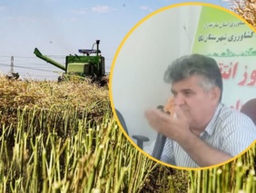 در روز انتقال یافته های تحقیقاتی کلزا به میزبانی ایستگاه تحقیقات کشاورزی بایع کلا