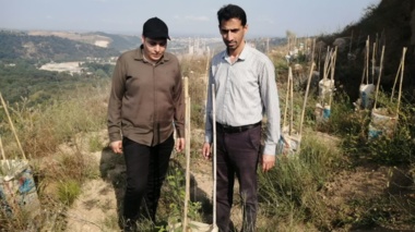 پایش تخصصی مرکز تحقیقات کشاورزی مازندران بر روند احیای پوشش گیاهی معادن سیمان نکا
