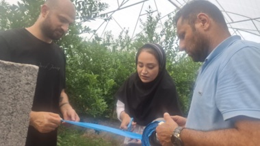 گذار از سموم شیمیایی؛ مدیریت هوشمند آفات در گلخانه‌های لایم‌کات مازندران با تکیه بر دانش بومی