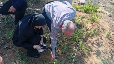 بازدید میدانی از باغات گردو کلاردشت برای بررسی علائم خشکیدگی