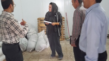مزارع برنج ارگانیک ایستگاه تحقیقات کشاورزی بایع‌کلا، مهر تایید بازرسان شرکت بیوسان‌گواه را گرفت