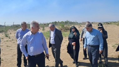 هم‌افزایی علم و صنعت برای سبز کردن خط ساحلی؛ ارزیابی فنی تجارب نهالکاری شرکت سیمان مازندران